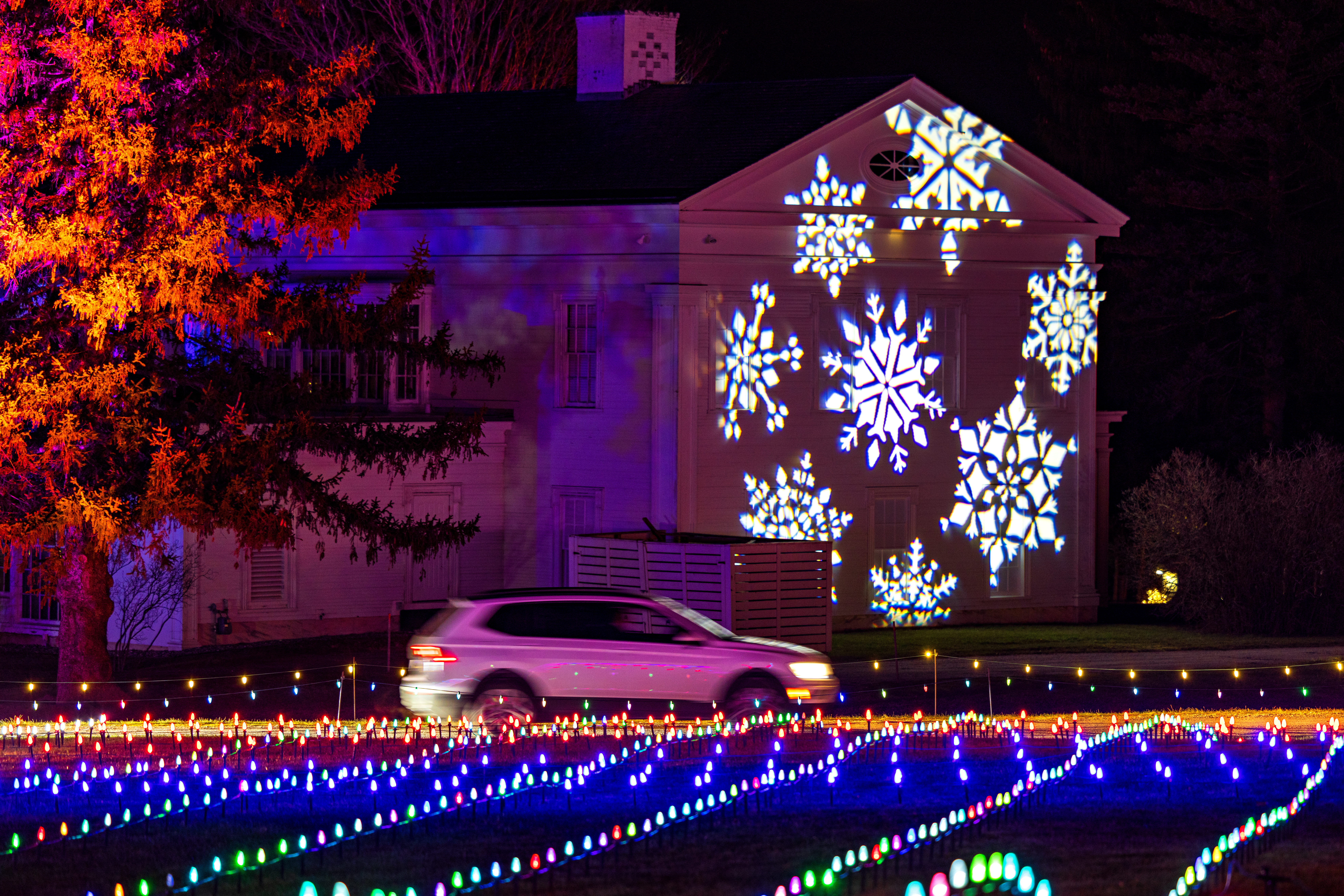 winterlights2023_22_5336685784
