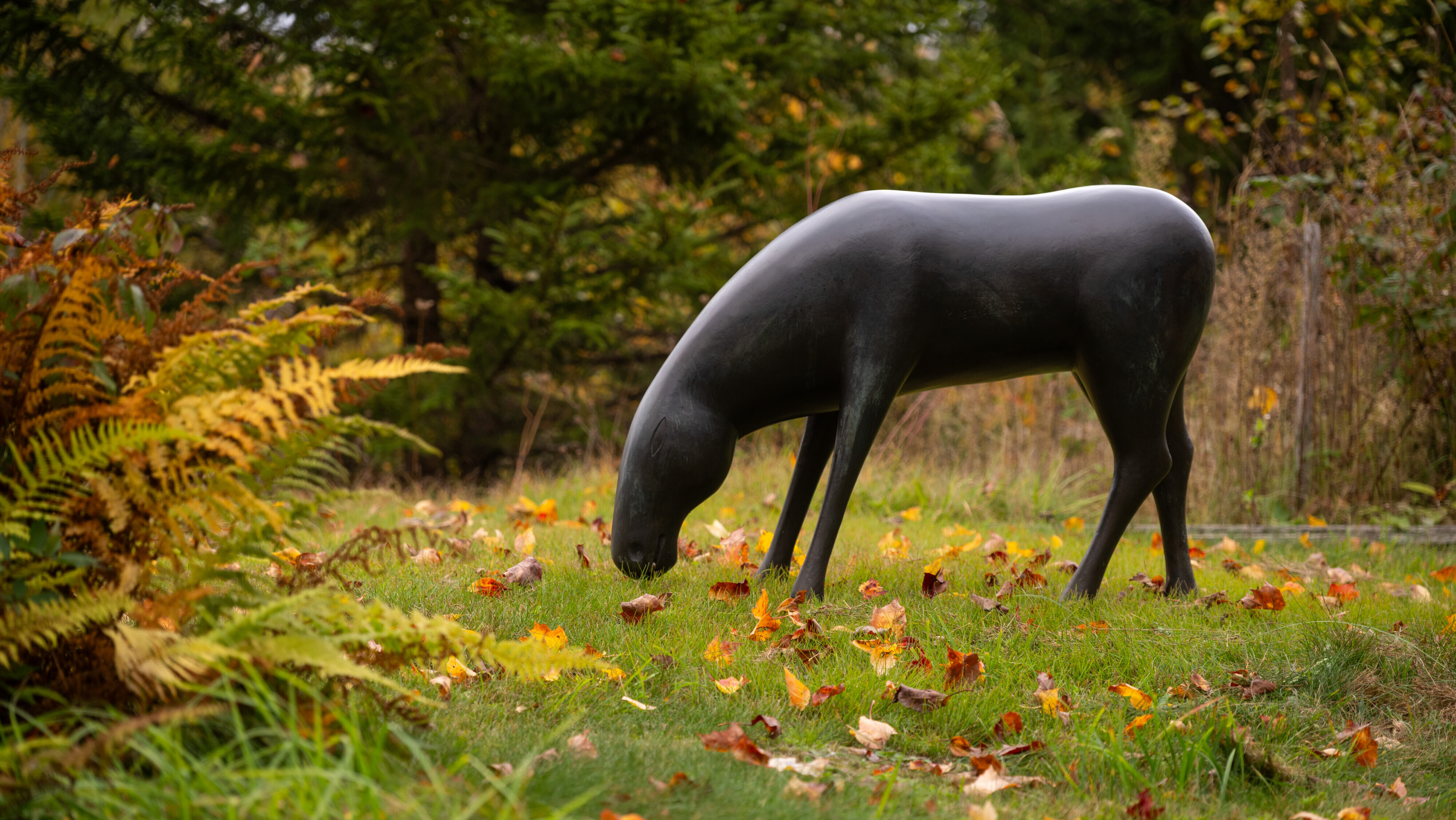 Herd - Shelburne Museum